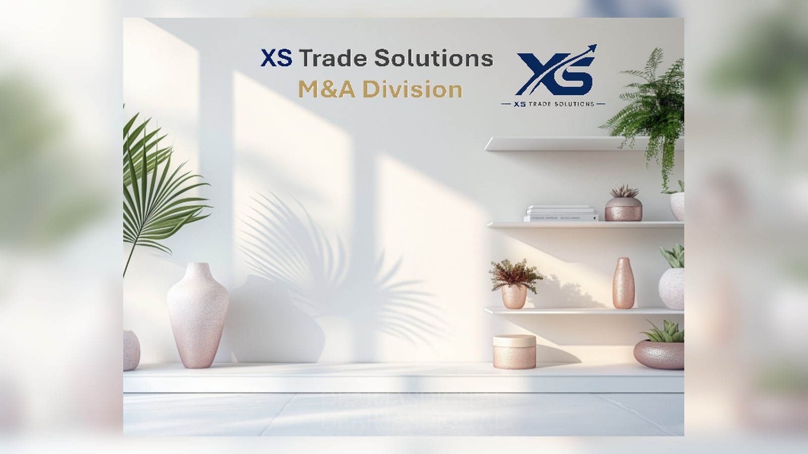XS Trade Solutions office wall with M&A Division branding